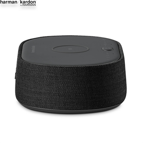 Loa Harman Kardon Citation Oasis DAB 9